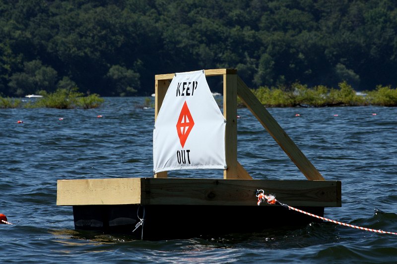 IMG_6811.jpg - Eagle Protection