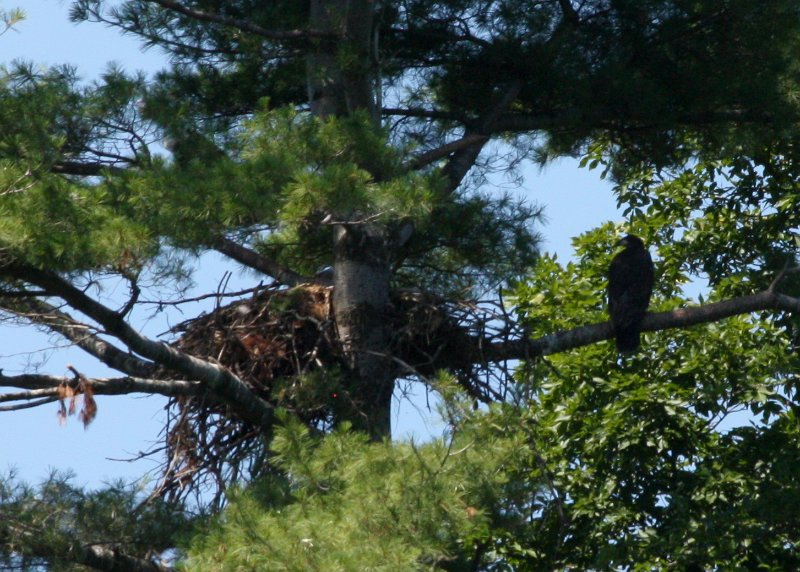 IMG_6813.jpg - Another